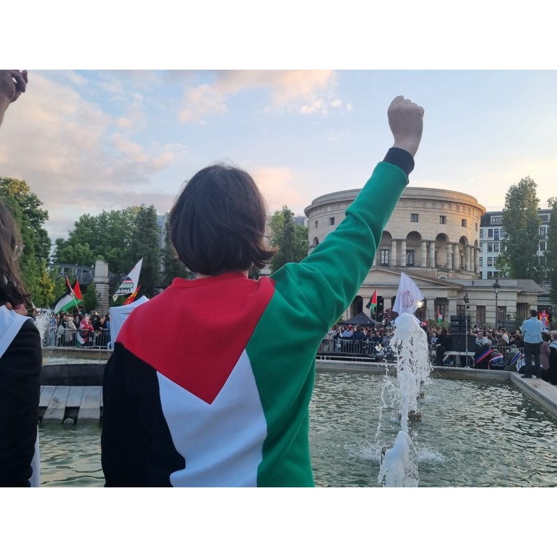 Pré-commande - Sweat Palestine